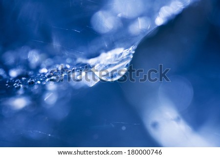 Abstract composition with water drops, spiderwebs and bokeh. Image has grain texture visible on its maximum size
