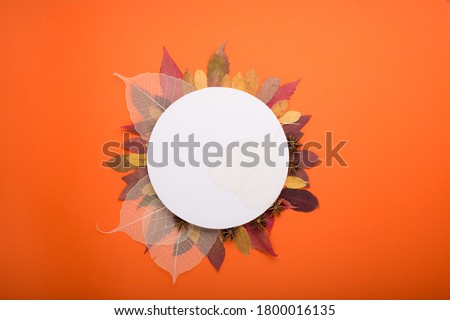 Autumn paper decorations on orange background. Empty blank card and autumn leafes. Holiday concept. Flat lay, top view, overhead. Halloween party greeting card mockup with copy space. 