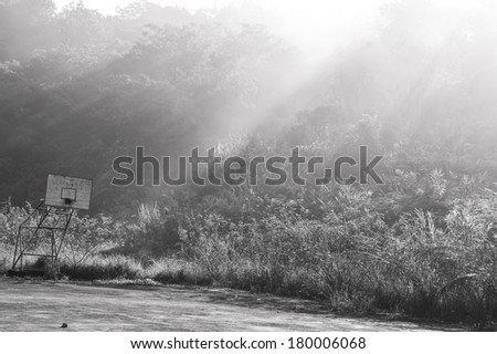Morning misty over on forest with sun ray effect and old basketball backboard in black and white tone