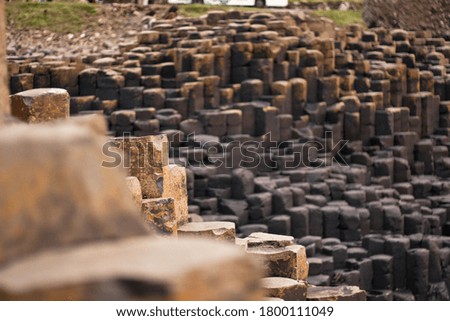 Detail in perspective of basalt columns at Giant's Causeway, North Ireland.