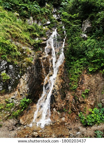 small ayder waterfall inside of green nature 