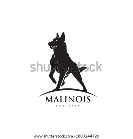 Belgian shepherd dog Malinois - isolated vector illustration Royalty-Free Stock Photo #1800244720