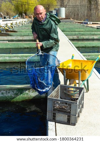 Portrait of man fish farm worker catching sturgeon at pool