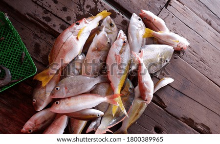 A lot of fresh fish from the ocean. A lot of fresh fish on a wooden background.
