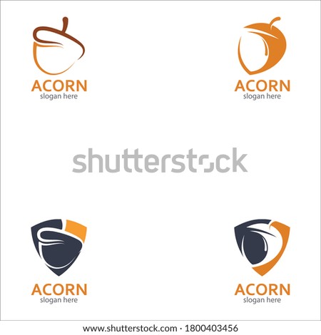 Acorn logo illustration vector template
