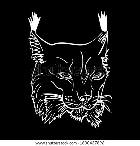 Sketch style portrait of lynx isolated on black background. Wild bobcat black and white sketch icon. Wildcat looking straight forward. Concept for logo, icon, symbol, print. Stock vector illustration