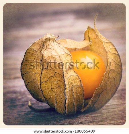 Single physalis fruit. Filtered to look like an aged instant photo.