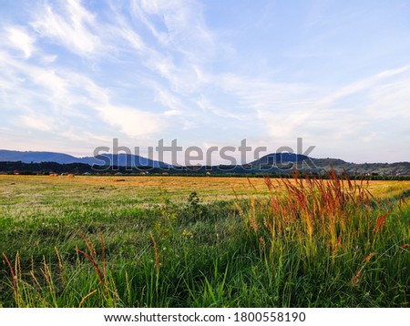 Rural meadows in-between of Carpathians