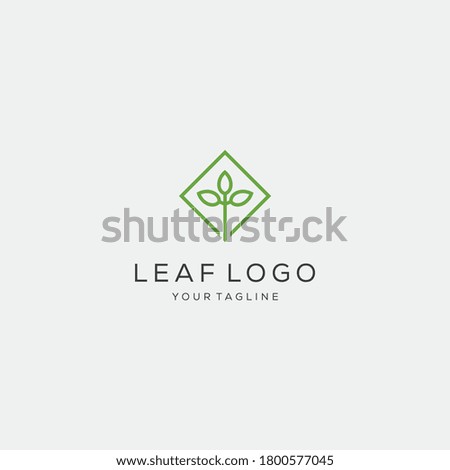 Abstract leaf logo design vector template line concept.