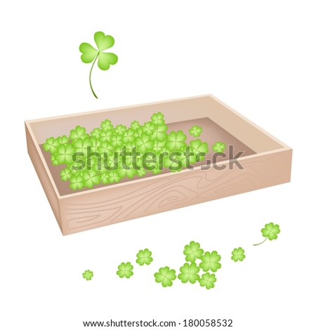 Symbols for Fortune and Luck, Vector Illustration Heap of Fresh Four Leaf Clover Plants or Shamrock in Wooden Box for St. Patricks Day Celebration. 