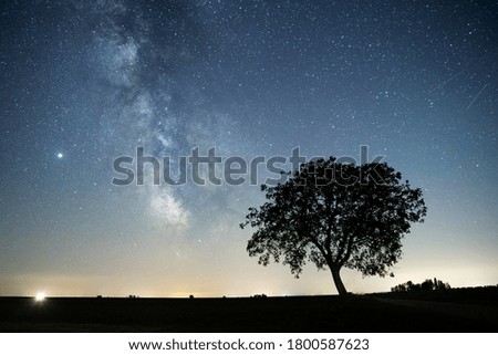 Silhouette Tree And The Milky Way