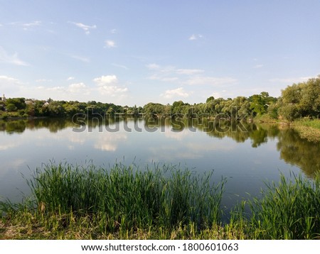 Summer rural landscape, pond in village.