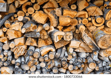 Stacks of chopped wood logs outside