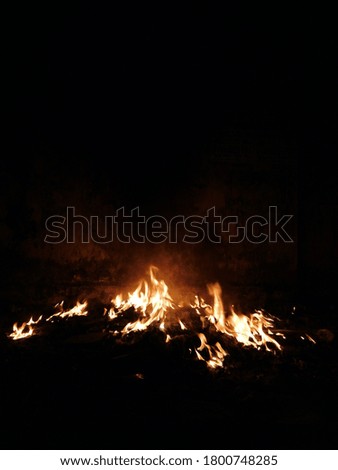 Fire in the forest picture at night