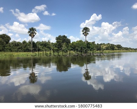 Murchison falls river Nile reflection picture with trees and hippos