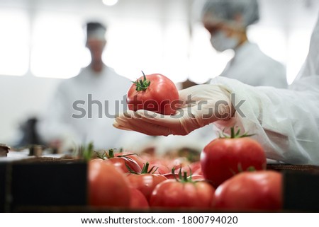Cropped photo of a supermarket worker demonstrating the fresh produce in front of the camera
