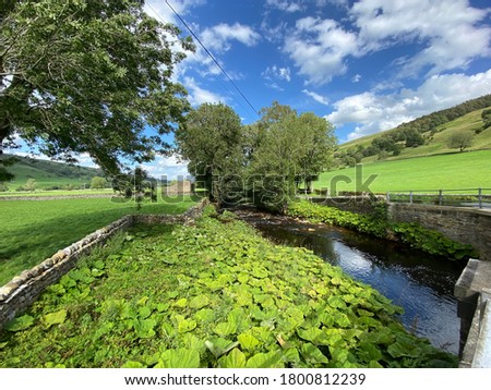 Bishopdale Beck, as it runs through countryside near West Burton, with wild plants, trees, and fields in, Leyburn, UK