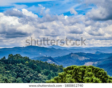 Clouds, mountains and the forest