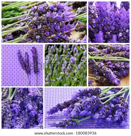 a collage with different picture of lavender flowers