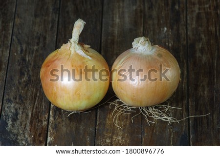 Onions: High-quality image of onions
