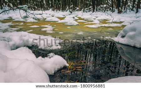photo of woods in winter snow
