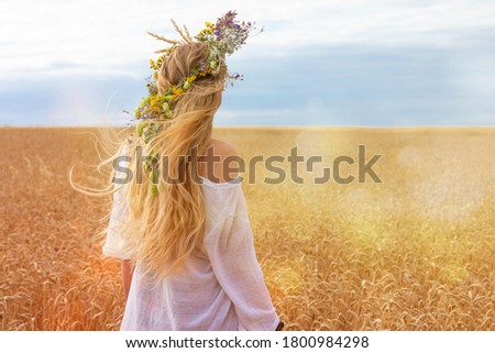 Summer, blue sky of August. A beautiful blonde with long hair and a wreath of flowers on her head and in a white dress. Walk in the wheat field. Back view.