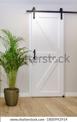 Modern living room with a white sliding barn door and a beautiful potted plant called Dypsis lutescens, also known as golden cane palm or areca palm Royalty-Free Stock Photo #1800992914