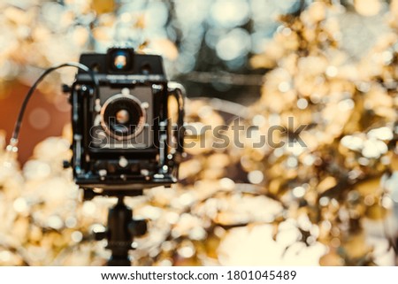 Blurred photo of an old film camera on a tripod on the background of nature.