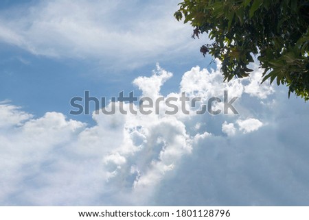 Sky clouds and mango leaves