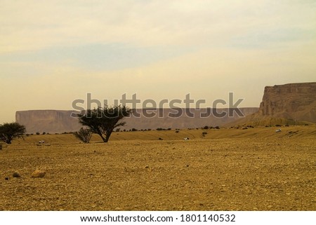 Riyadh desert qiddiya at saudi arabia