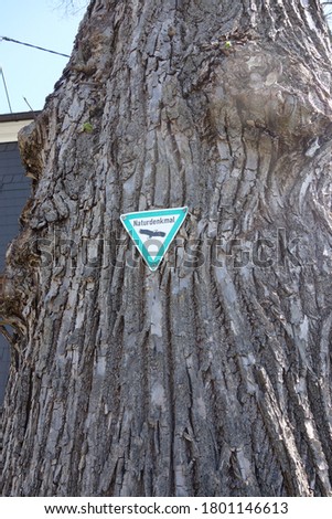 Barky tree with german sign "Naturdenkmal" which translates to "natural monument" . white triangular sign with green edge and eagle bird symbol . picture taken next to dusseldorf in germany .
