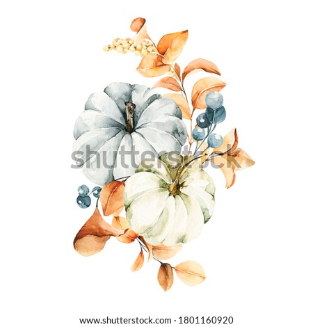 Watercolor pumpkins composition. Hand painted blue and orange pumpkins with leaves isolated on white background. Autumn festival. Botanical illustration for design, print or background