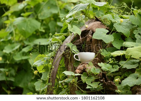 White coffee cup with green leaves