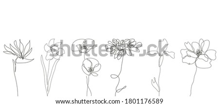 Decorative hand drawn flowers set, design elements. Can be used for cards, invitations, banners, posters, print design. Continuous line art style