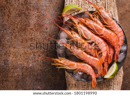 Red shrimps gourmet wild ocean jumbo shrimps background copy space.