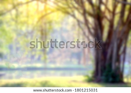 Soft blurred beautiful green nature in park for background
