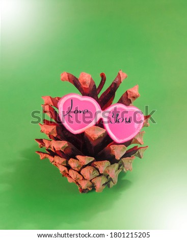 pine cone in pink glasses shape heart and inscription Love you