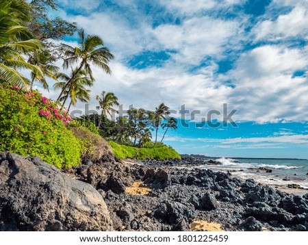 Marvelous shore. Large boulder among the waves in the sea. Hawaii