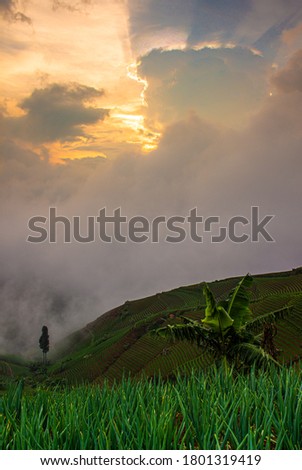 Beautiful sunset in Panyawuyan Majalengka, West Java, Indonesia which is covered in clouds