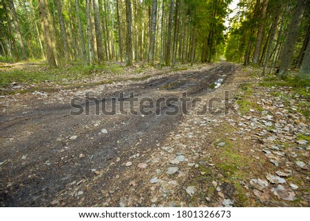 unsurfaced road with deep pot-hole in a russian forest Royalty-Free Stock Photo #1801326673
