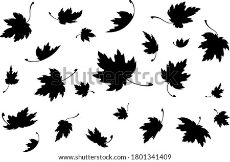 Maple leaves. Autumn background template with flying and falling leaves. Black silhouette. Isolated. Vector Royalty-Free Stock Photo #1801341409