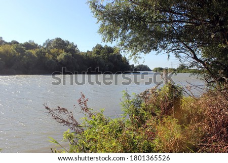 photos of trees and a beautiful deep river