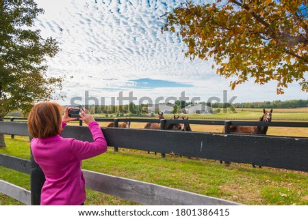 Woman taking picture of countryside view with horses in autumn season.