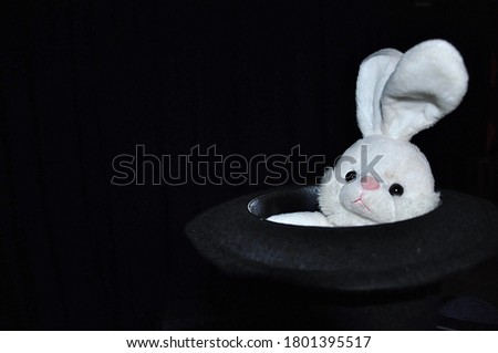 Toy rabbit in a circus magician top hat with black background