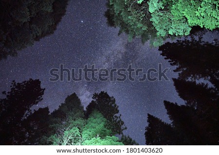 The view of the milky way at night 