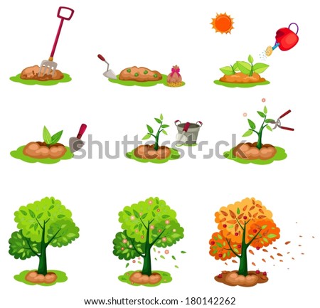 illustration of isolated seeding trees set on white