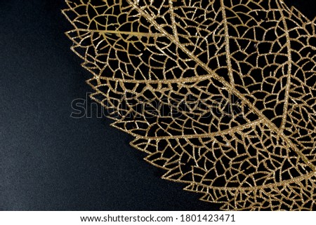 Big Golden leaf  on  black  background     