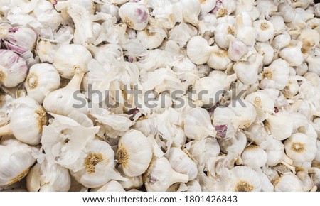 many heads of garlic on a bench in rio de janeiro Brazil.