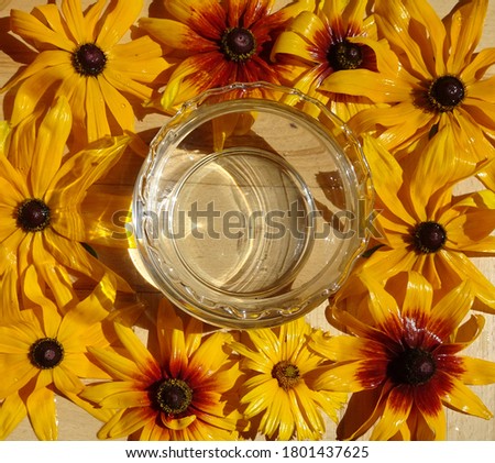 floral autumn background of bright yellow flowers with dark middles