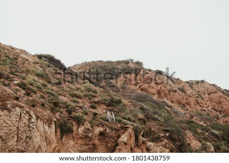 Rocky California Cliffside Beach Rock Formations